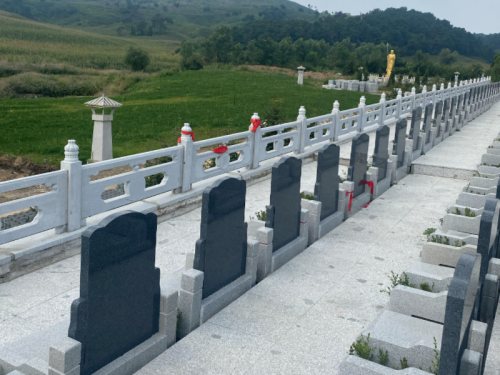 墓园环境